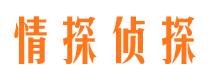 惠东小三调查